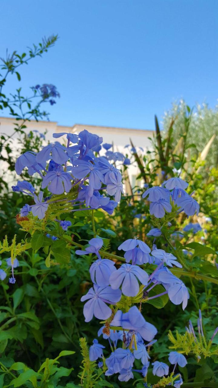 The Proud Garden Bed & Breakfast Carovigno Eksteriør bilde