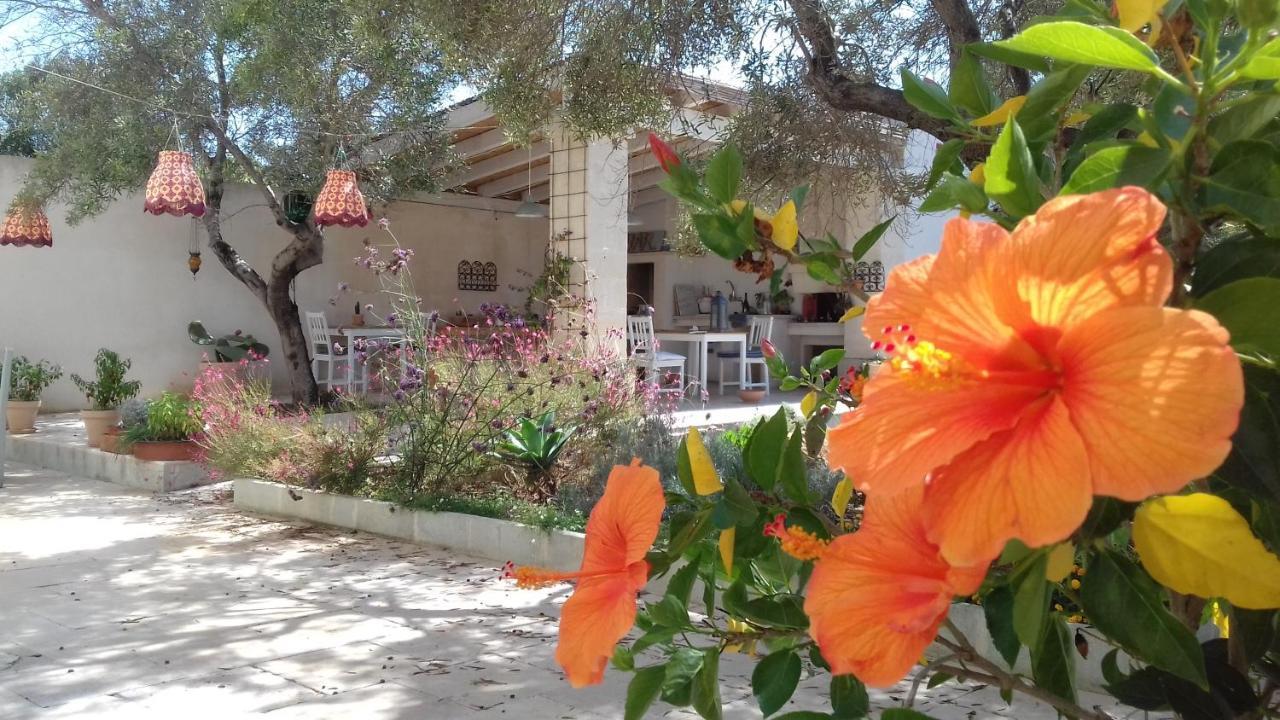 The Proud Garden Bed & Breakfast Carovigno Eksteriør bilde